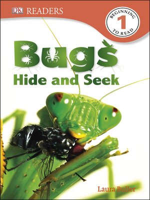 cover image of Bugs Hide and Seek